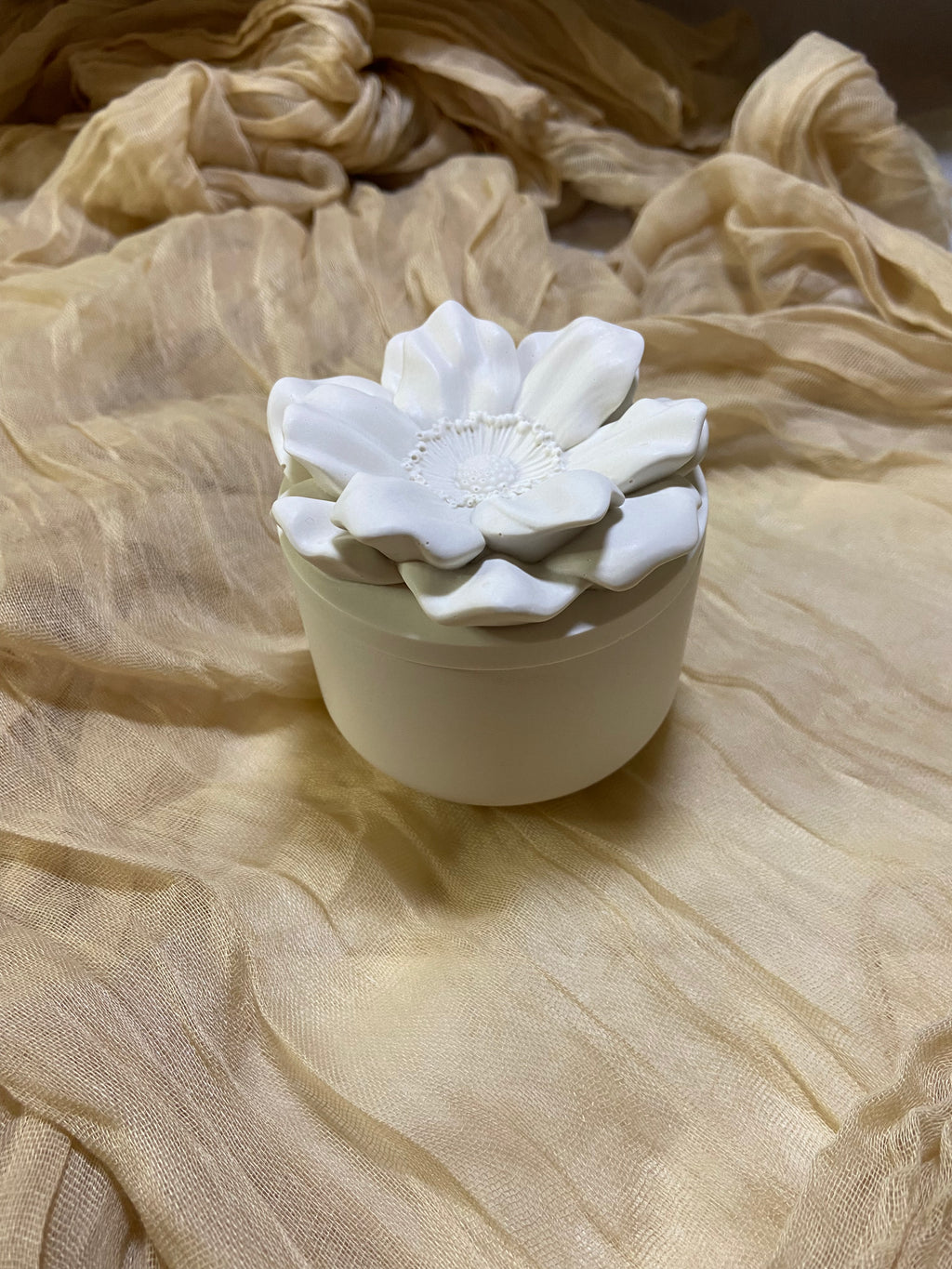Flora