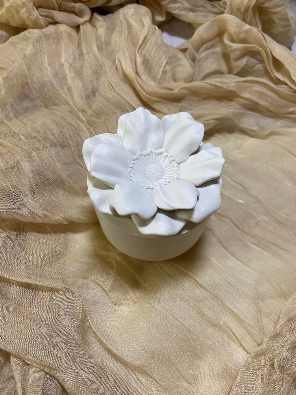 Flora